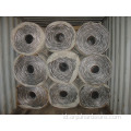 Hot Dipped Galvanis Galvanized Razor Barbed Wire untuk keselamatan